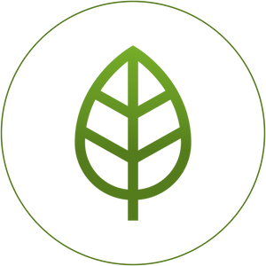 Baba Greens - vegan friendly