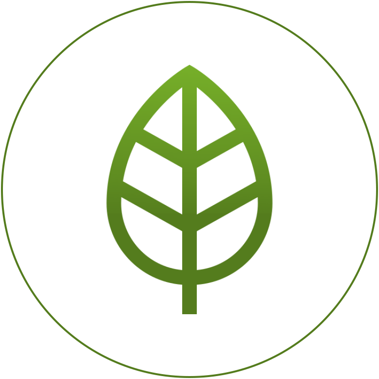 Baba Greens - vegan friendly